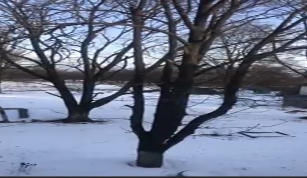 Военные РФ пошли в наступление на Донбассе: идет бой (ВИДЕО) Фото № 0 Военные РФ пошли в наступление на Донбассе: идет бой (ВИДЕО) Фото № 0