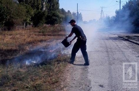 В Покровском районе копы тушили горевший сухостой Фото № 0 В Покровском районе копы тушили горевший сухостой Фото № 0