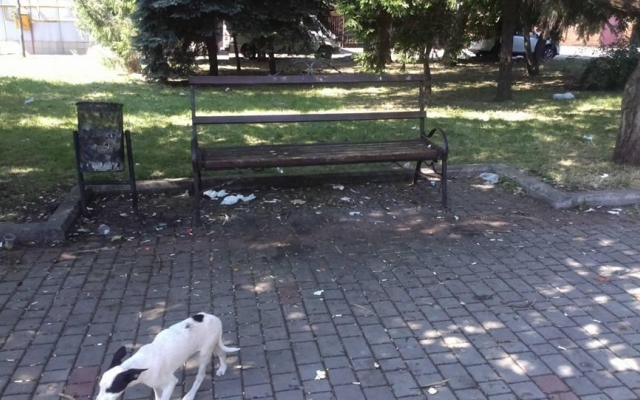 Парк возле ДК Центрального ГОКа в Кривом Роге приводит криворожан в ужас Фото № 9 Парк возле ДК Центрального ГОКа в Кривом Роге приводит криворожан в ужас Фото № 9