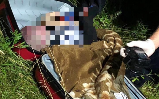 «Бедные, а на море едут»: дело о ребенке в чемодане обрастает подробностями Фото № 0 «Бедные, а на море едут»: дело о ребенке в чемодане обрастает подробностями Фото № 0