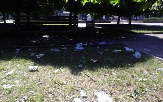 Парк возле ДК Центрального ГОКа в Кривом Роге приводит криворожан в ужас Фото № 12 Парк возле ДК Центрального ГОКа в Кривом Роге приводит криворожан в ужас Фото № 12