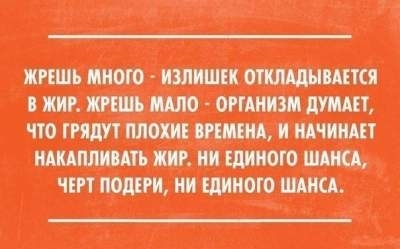 Десятка мемов о весеннем похудении Фото № 4 Десятка мемов о весеннем похудении Фото № 4