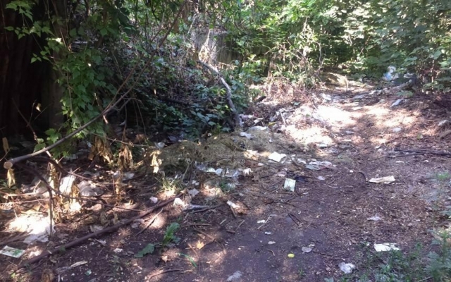 Парк возле ДК Центрального ГОКа в Кривом Роге приводит криворожан в ужас Фото № 3 Парк возле ДК Центрального ГОКа в Кривом Роге приводит криворожан в ужас Фото № 3