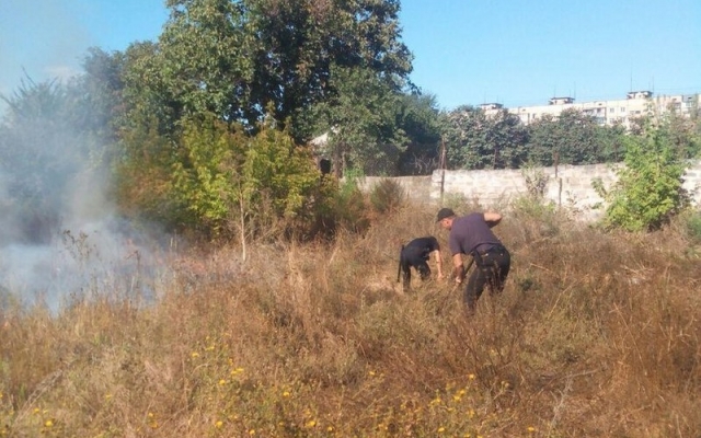 В Покровском районе копы тушили горевший сухостой Фото № 3 В Покровском районе копы тушили горевший сухостой Фото № 3