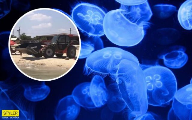 На Азовском море погрузчиком чистят побережье от медуз (ВИДЕО) Фото № 0 На Азовском море погрузчиком чистят побережье от медуз (ВИДЕО) Фото № 0