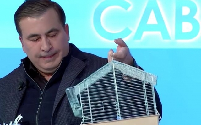Михеил Саакашвили пришел на прямой эфир с крысой по кличке Элита Коррупция (ВИДЕО) Фото № 0 Михеил Саакашвили пришел на прямой эфир с крысой по кличке Элита Коррупция (ВИДЕО) Фото № 0